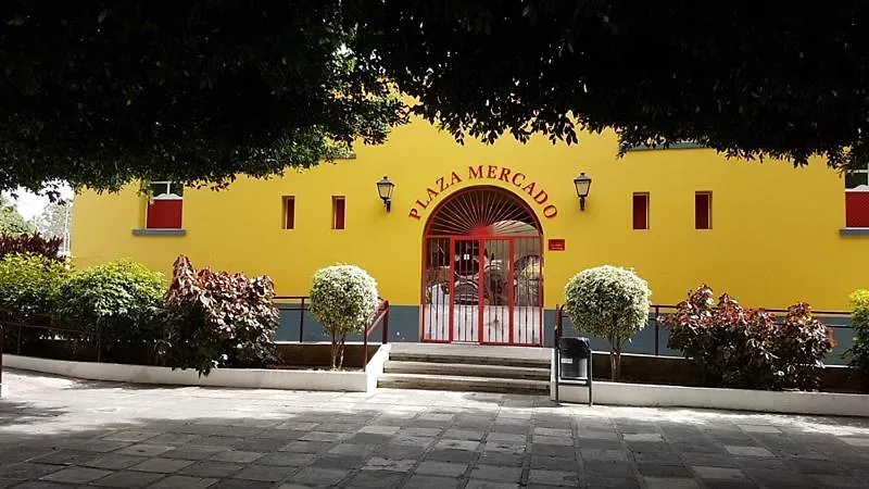 Homestay Amplia Habitacion En Los Llanos De Aridane Spain